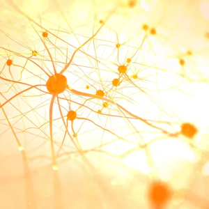 NuerOptimal in Myrtle Beach, SC <br> <span class="span-text">1 hr<span>